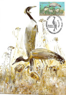 Moldova - Maximum Card 2012 :   Demoiselle Crane -   Grus Virgo - Gru & Uccelli Trampolieri