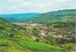 FRESSE-sur-MOSELLE (88) Vue Générale - En Premier Plan , La HARDOYE En 1979  CPSM GF - Fresse Sur Moselle