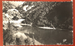 Environs De ST-DALMAS-DE-TENDE (Alpes-Maritimes) Le Lac Des Mesce (1.390 M.) 1958 (c905) - Autres & Non Classés