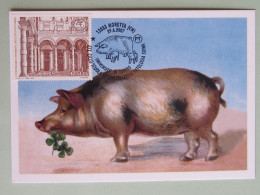 I-1108- ITALIA, Scuola Specializzazione Patologia Suina, Annullo Speciale 29-6-2007, Maiale,porc,pig, (2) - 2001-10: Poststempel