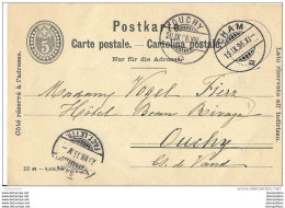 71 -  61 - Entier Postal  5cts  Avec Superbes Cachets à Date  Cham, Lausanne Et Ouchy 1896 - Stamped Stationery