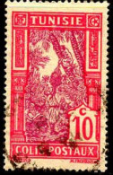 Tunisie Col-Post Obl Yv:12 Mi:12 Cueillete Des Dattes (cachet Rond) - Used Stamps