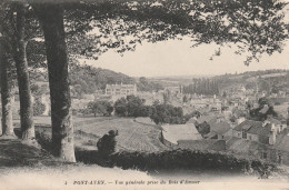 Pont Aven ( 29- Finistère ) Vue Générale Prise Du Bois D'Amour - Pont Aven