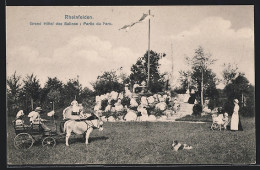 AK Rheinfelden, Grand Hotel Des Salines: Partie Du Parc  - Rheinfelden