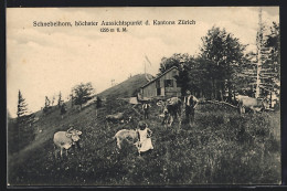 AK Schnebelhorn, Bauer Und Grasende Kühe Bei Einem Gehöft  - Andere & Zonder Classificatie