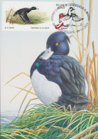 Maximumkaarten "Eenden" Dhr. A. Buzin Met Speciale Stempel Mechelen 9/12/2023 & "Kuifeend" Met Blauwe Variëteit - 1985-.. Oiseaux (Buzin)