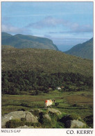 1 AK Irland / Ireland * Moll's Gap In Der Grafschaft Kerry - Ein Gebirgspass Von Kenmare Nach Killarney * - Kerry