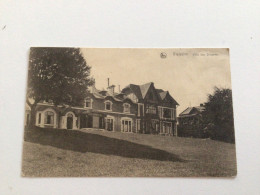 Carte Postale Ancienne (1925) Vielsalm Villa Des Dragons - Vielsalm