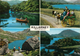 1 AK Irland / Ireland * Landschaften Im Nationalpark Killarney - County Kerry * - Kerry