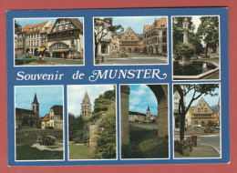 CP 68 MUNSTER 7 Multi-Vues - Munster