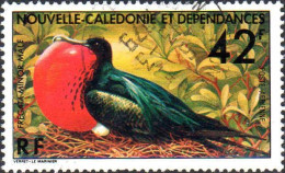 Nle-Calédonie Avion Obl Yv:178 Mi:599 Fregata Minor Mâle (TB Cachet Rond) - Used Stamps