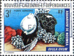 Nle-Calédonie Avion Obl Yv:150 Mi:547 Ovula Ovum (Belle Obl.mécanique) - Usados