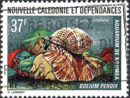 Nle-Calédonie Avion Obl Yv:152 Mi:549 Dolium Perdix (Belle Obl.mécanique) - Used Stamps