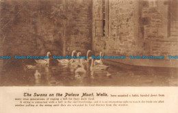 R137929 The Swans On The Palace Moat. Wells. T. W. Phillips - World