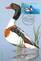 Moldova - Maximum Card 2021 :  Common Shelduck   - Tadorna Tadorna - Eenden