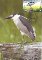 Moldova - Maximum Card 2018 :  Black-crowned Night Heron  -  Nycticorax Nycticorax - Andere & Zonder Classificatie