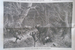 D203438 P300   Old Print  Livingstone -Africa -  African Buffalo Attack -  Woodcut From A Hungarian Newspaper  1866 - Stiche & Gravuren