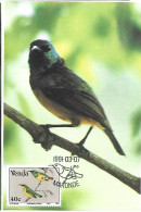 Venda (South Africa) - Maximum Card 1991 : Collared Sunbird -   Hedydipna Collaris - Passereaux