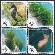 South Korea KPCC2796-9 Protected Marine Species, Seahorse, Seagrass, Nature, Hippocampe, Espèces En Danger - Corée Du Sud