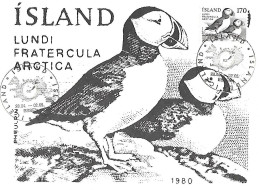 Iceland - Maximum Card 1980 :  Atlantic Puffin  -  Fratercula Arctica - Autres & Non Classés