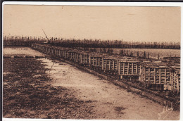 GIRONDE - ARES - Casiers Contenant Les Collecteurs Sur Lesquels Les Huîtres Naissent - Marcel Delboy - Yobled N° 574 - Arès