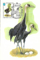 Russia CCCP - Maximum Card 1982 :  Hooded Crane  -  Grus Monachal - Gru & Uccelli Trampolieri