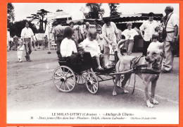 32270 / ⭐ LE MOLAY-LITTRY (14) Jeunes Filles PHAETON Attelage Chiens DELPH Chienne Labrador Juillet 1990 VB Photo 38 - Sonstige & Ohne Zuordnung