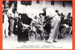 32273 / ⭐ LE MOLAY-LITTRY (14) Attelage Chiens Harnachement DELPH Chienne Labrador Voiture PHAETON Juillet 1990 Photo VB - Sonstige & Ohne Zuordnung