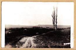 32046 / ⭐ Carte-Photo 1910s à Localiser Paysage Campagne , Chemin Rural , Croix 2 Peupliers - Photos