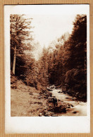 32043 / ⭐ Carte-Photo 1900s à Localiser Torrent Rivière Forêt Sapins Avec 1 Personnage - Fotos