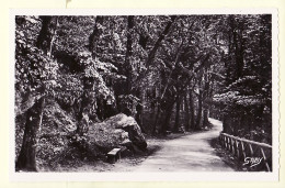 32374 / ⭐ BAGNOLES De L'ORNE Allée Du DANTE CPSM 1950s - GABY ARTAUD 46 - Bagnoles De L'Orne