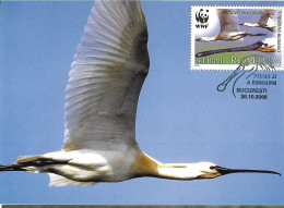 Rumania - Maximum Card 2006 : Eurasian Spoonbill -   Platalea Leucorodia - Otros & Sin Clasificación