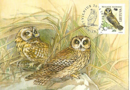 Lithuania (Lietuva) - Maximum Card 2004 : Short-eared Owl  -  Asio Flammeus - Uilen