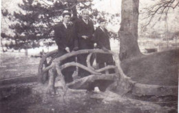 Petite Photo Originale - 1942 - L'hiver Au Parc Des Bosquets A LUNEVILLE ( 54 ) - Plaatsen