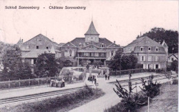 68 - Carspach - Chateau De SONNENBERG -   - Other & Unclassified