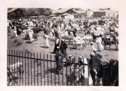 Photo Originale  - Egypte - Proche LE CAIRE 1932 - Les Souks - Lieux