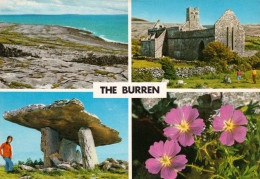 1 AK Irland / Ireland * The Burren (Great Rock) Ansichten Dieser Karstlandschaft Im County Clare * - Clare