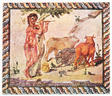 CPSM 15.2 X 13 Grèce (3) Mosaic From A Roman Villa Museum Of Corinth  Mosaïque D'une Villa Romaine  Musée De Corinthe  * - Griekenland