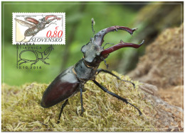 CM 572-3 Slovakia Stag Beetle Rhino Beetle 2014 - Otros & Sin Clasificación