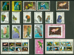 Lot 33 Perroquets & Perruches - Parrots & Parakeets, Oblit. - Parrots