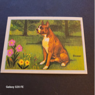 Chromos  ** Bon Point  ** Animaux  ** Chien  ** Boxer - Other & Unclassified