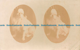 R137948 Dogs. Old Photography. Postcard. Multi View - World