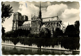 CPSM Dentelée  10.5 X 15 PARIS  Notre Dame - Notre-Dame De Paris