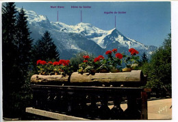 CPSM  10.5 X 15 Haute Savoie Massif Du Mont-Blanc Vu D'un Balcon Fleuri - Andere & Zonder Classificatie