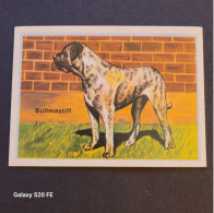 Chromos  ** Bon Point  ** Animaux  ** Chien  ** Bullmastiff - Sonstige & Ohne Zuordnung