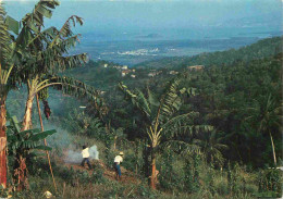 Martinique - Rivière-Salée - Scène Rurale Dans La Campagne De Desmarinières - CPM - Voir Scans Recto-Verso - Altri & Non Classificati