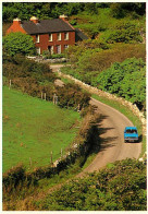 Irlande - Galway - Connemara - Joyful Motoring In Connemara - Automobiles - Carte Neuve - Ireland - CPM - Voir Scans Rec - Galway