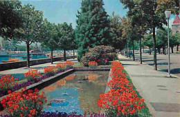 Suisse - Lausanne - Ouchy - Le Quai Fleuri - CPM - Voir Scans Recto-Verso - Andere & Zonder Classificatie