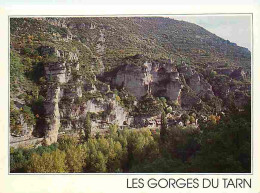 48 - Les Gorges Du Tarn - Cirque De Pougnadoires - Flamme Postale - CPM - Voir Scans Recto-Verso - Gorges Du Tarn