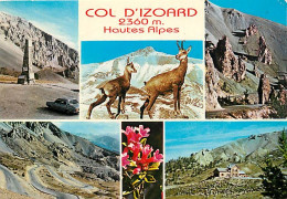 05 - Hautes Alpes - Col D'Izoard - Multivues - Chamois - CPM - Voir Scans Recto-Verso - Otros & Sin Clasificación